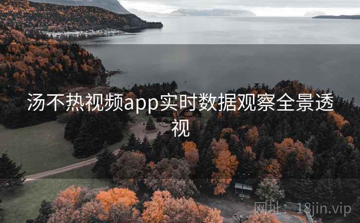 汤不热视频app实时数据观察全景透视