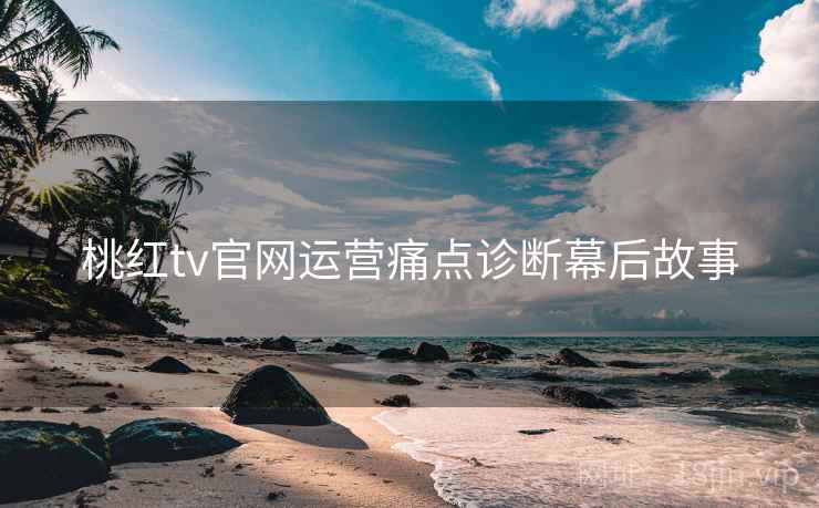桃红tv官网运营痛点诊断幕后故事