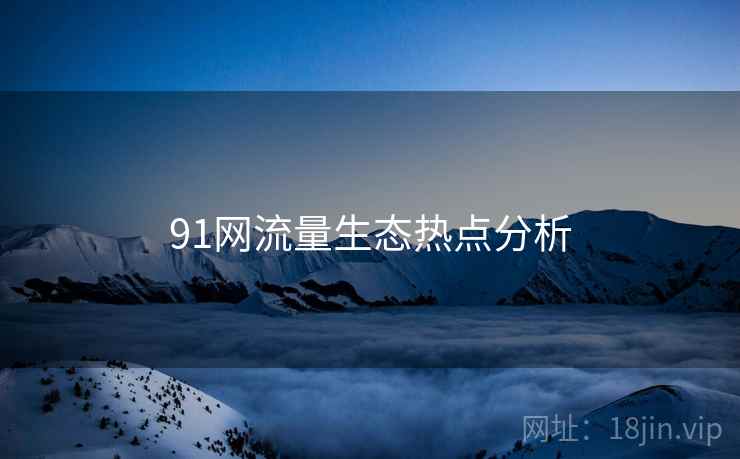 91网流量生态热点分析