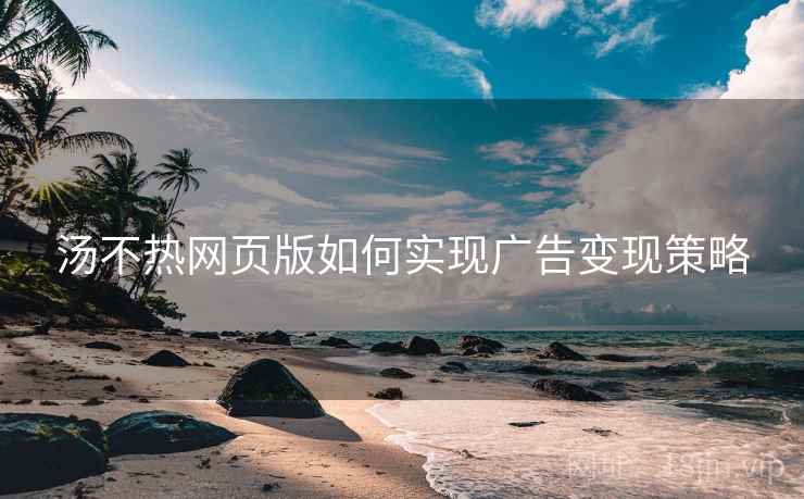 汤不热网页版如何实现广告变现策略